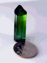 Img18.png